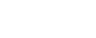 PWHL Logo